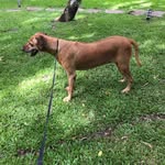 Frank dato - @dato8477 - Instagram