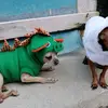 user3533106138487 - @frankdato - TikTok