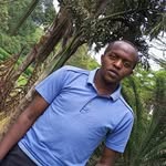 frank daves - @daves4159 - Instagram