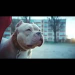 Frank Davido - @frankdavido37 - Instagram