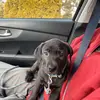 frankday633 - @frankday633 - TikTok