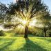 Frank Delling - Facebook