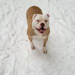 Frank De Franco - @frankdefranco - Instagram