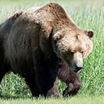 Frank Dempsey - @frank_dempsey60 - Instagram