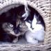 Frank Dempsey - Facebook