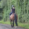franki_dempsey9 - @franki_dempsey9 - TikTok