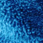 @frank_dexter.4 - Instagram