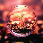 Frank Dexter - @fd89620 - Instagram