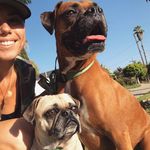 Frank&Dexter - @thefrankthedexter - Instagram