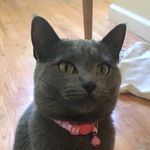 nala.frank.dexter - @nala.frank.dexter - Instagram