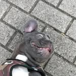 Frank Dickmann - @frank_dickmann - Instagram