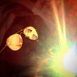 Frankie.R.D. - @dickmanfrankie - Instagram
