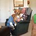 Frank DiMaggio - Facebook