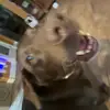 frank - @frank.demorato1 - TikTok