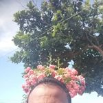 Frank Diniz - @frank.diniz.1441 - Instagram