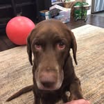 Frank Dipaolo - @dipaolo.frank - Instagram