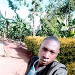 Frank Disanto - @1099fr - Instagram