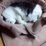 Frank Dittrich - @dittrich.f - Instagram