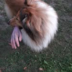 Frank Doberleit - @frankdoberleit - Instagram