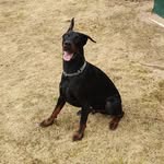 Frank Sinatra - @fra.nkdober - Instagram