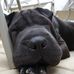 Frank Dodds - Facebook