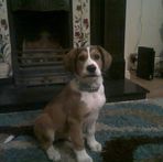 Frankie Doheny - Facebook