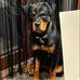 Frank Dohn Jensen - Facebook