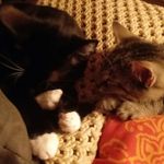 Frank_n_Dolan - @frank_n_dolan - Instagram