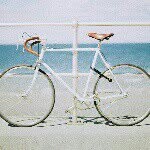 Frank - @frankdole - Instagram