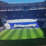 Frank Doll - @frank.doll1 - Instagram