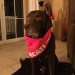 Frank Döll - @frankdoell - Instagram