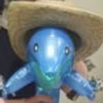 Frank The Dolphin - @frank_the_dolphin - Instagram