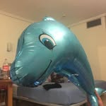 Frankd_olphin - @frankd_olphin - Instagram