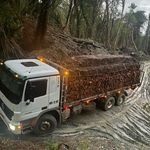 Frank Zamora - @frank.domingo.16940 - Instagram