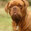 Franklin Donny - @franklin.donny - TikTok