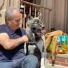 Frank Donofrio - @frank.donofrio1 - TikTok