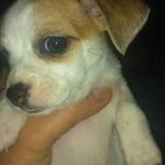 Frank Dooley - @dooley_frank - Instagram