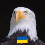 Frank Dorn - @dorn.frank - Instagram