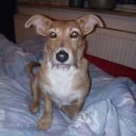 Frank Döscher - @frank.doscher.3 - Instagram