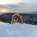Frank Doucette - Facebook