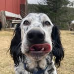 Frank Downey - @frank.downey.73 - Instagram