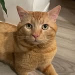 Frank - @frankdrabbuh - Instagram