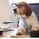 Frank Drebbin - @cpage861 - Instagram
