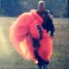 Frank Drebbin - @frank.drebbin6 - TikTok