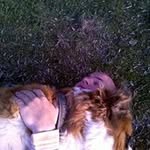 Frank Dreesbach - @frankdreesbach - Instagram