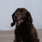 Frank dreher - @frank_d009 - Instagram