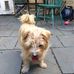 Frank Drey - Facebook