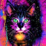 Frank Soto - @frank.drey.92 - Instagram