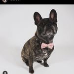 Frank Duca - @fad5001 - Instagram