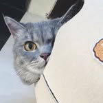 Phạm Đức Ái - @frank.ducai - Instagram